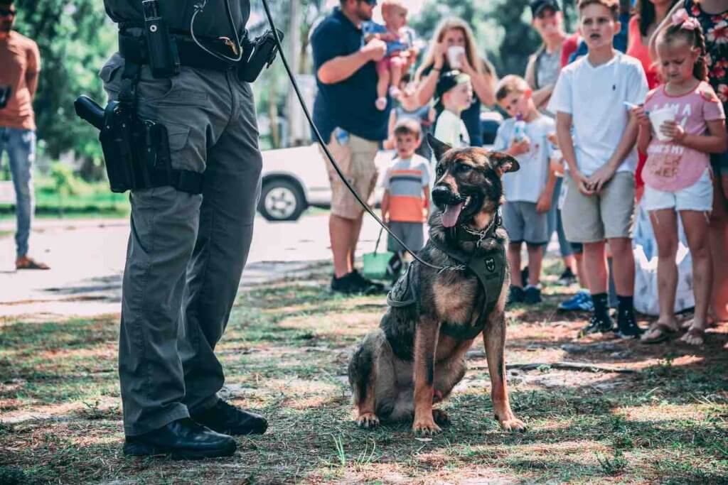 policijski pas