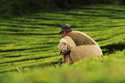 Poljoprivrednik s vrećom u rukama šeće poljem
