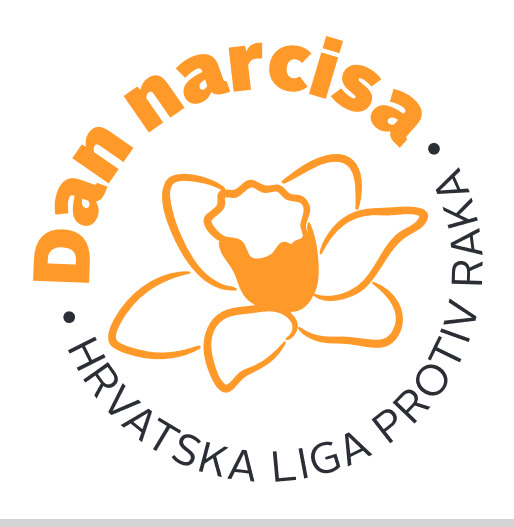 logo dan narcisa