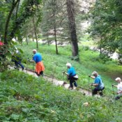 Umirovljenici se bave nordijskim hodanjem u šumi