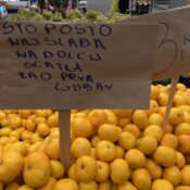 Cijena mandarina na tržnici