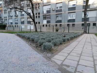 Park u Ulici Dragutina Kalea, Knežija