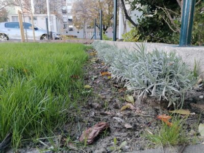 Park u Ulici Dragutina Kalea, Knežija