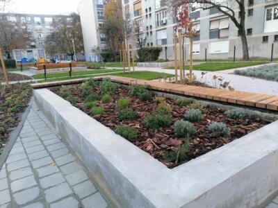 Park u Ulici Dragutina Kalea, Knežija