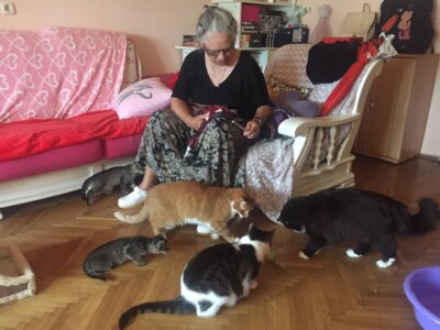 Umirovljenica u stanu s mačkama