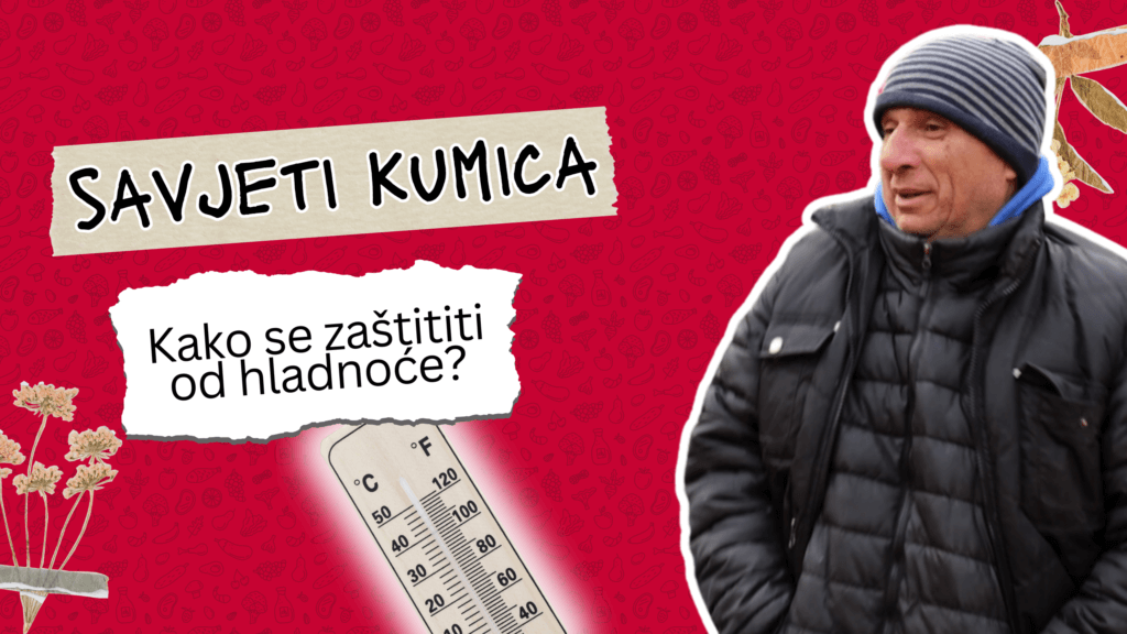 Savjeti kumica