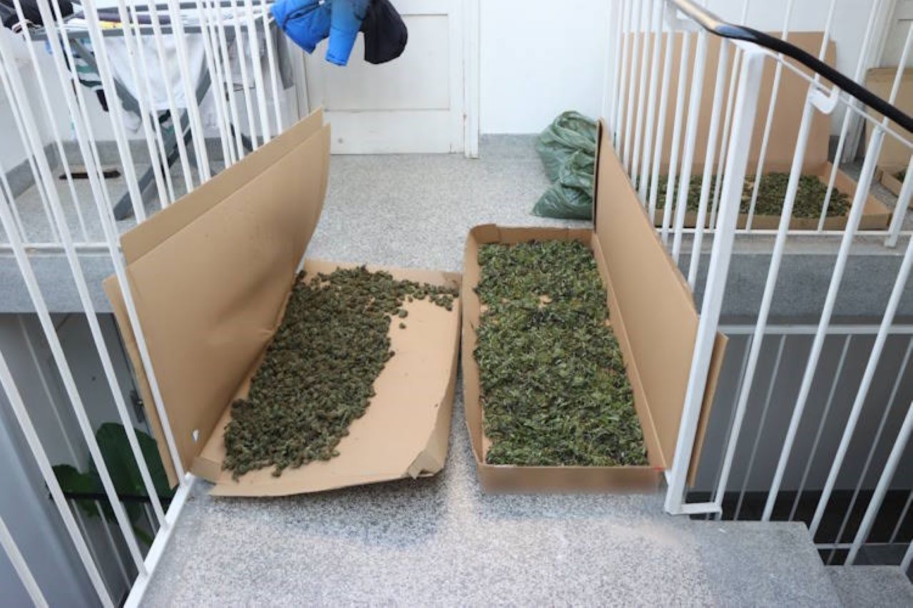 Umirovljeniku u stanu našli jako puno 'trave' | PU Zagrebačka