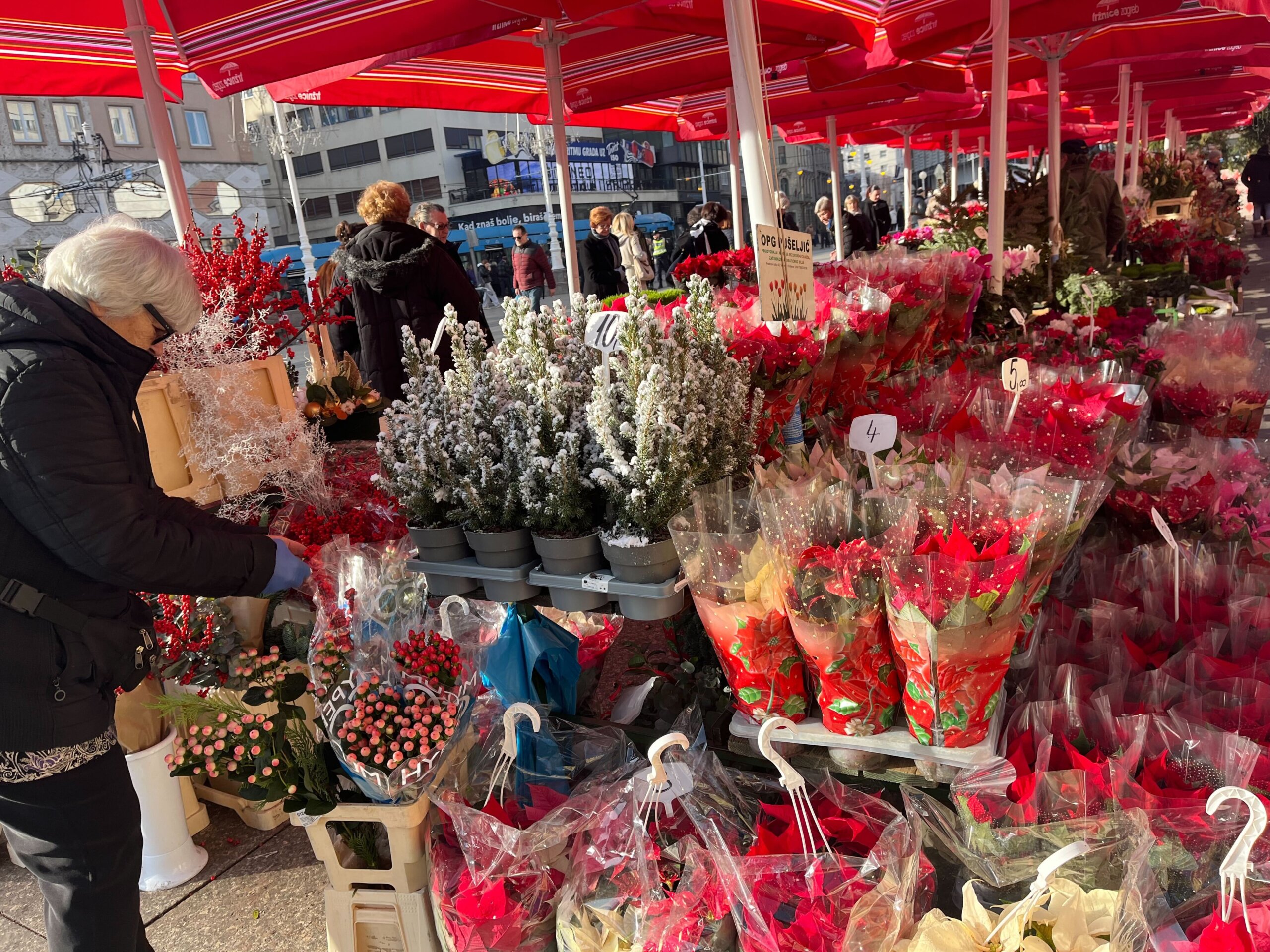 Cvijeće prodavačice Štefice