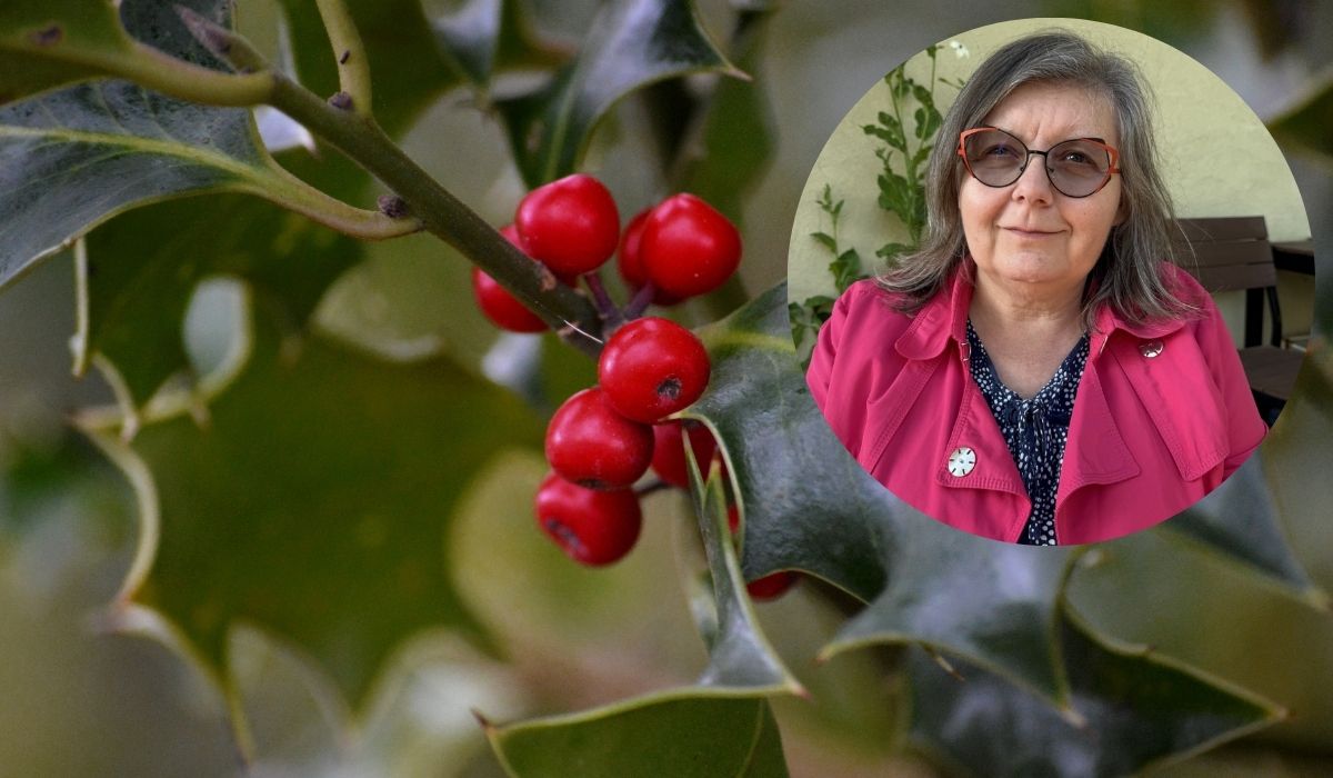 Profesorica Vesna Židovec o božikovini