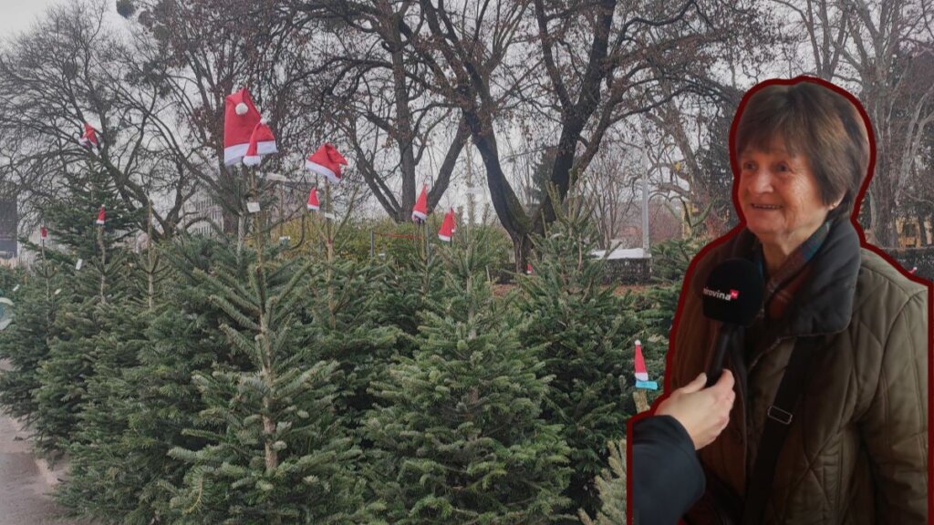 Prodaja borova na Maksimiru / umirovljenica Nadica