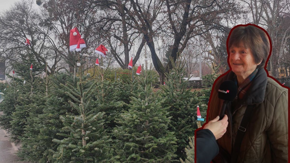 Prodaja borova na Maksimiru / umirovljenica Nadica