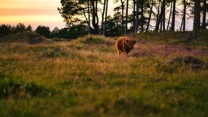 Bik na bikijadi ozlijedio umirovljenika koji je potom završio na hitnoj operaciji