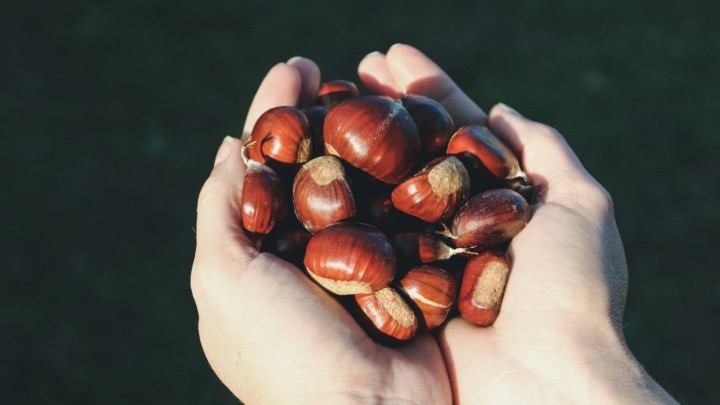 Kesteni: Omiljena namirnica nekima može izazvati probleme, evo o čemu se radi
