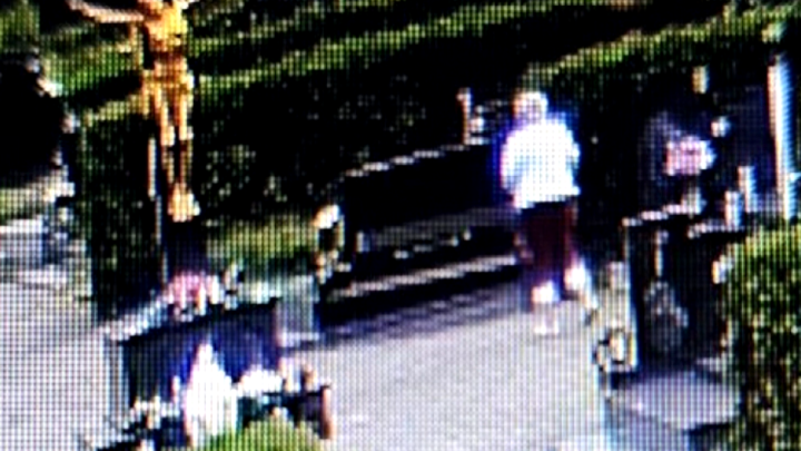 Konačno uhvaćena: Policija uhitila 64-godišnjakinju koja je krala cvijeće s grobova