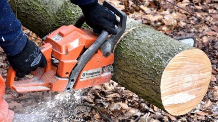 Opasan posao uzeo danak: 65-godišnjak rušio bukvu koja je potom pala na njega