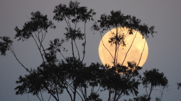 Znate li što je supermjesec? U ovoj posebnoj pojavi moći ćete uživati već sutra, ali i još jednom u kolovozu