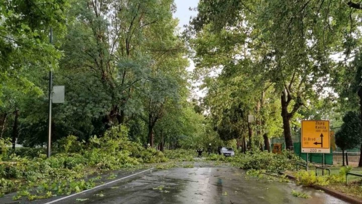 Posljedice nevremena: Srušeno je 1.000 stabala, zakrčeni su pozivi hitnim službama, a štete će se tek zbrajati