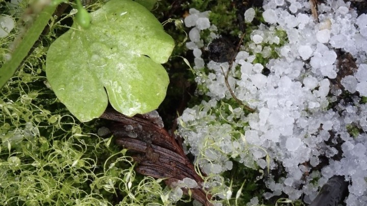 Drele zaprijetio prosvjedom: 'Baka Štefica ne može sklopiti policu osiguranja…'
