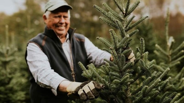 Analizirali smo koliko koštaju borovi i gdje se nalaze najjeftiniji: Cijene se kreću do 600kuna