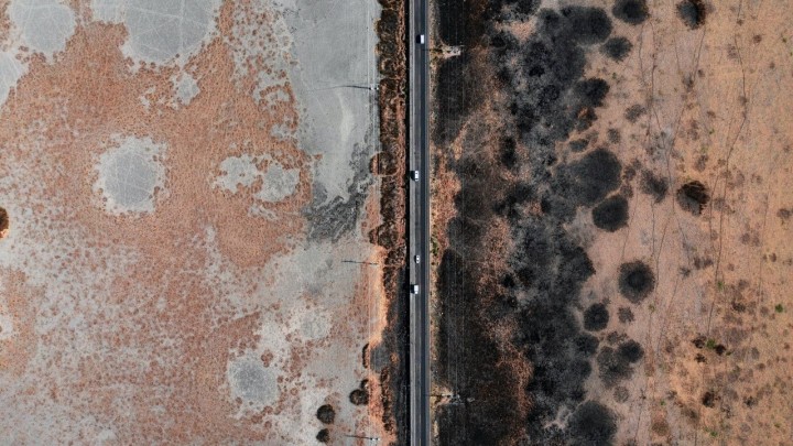 Znate li koliko je zapravo opasna plijesan i kako je se možete najbrže riješiti?