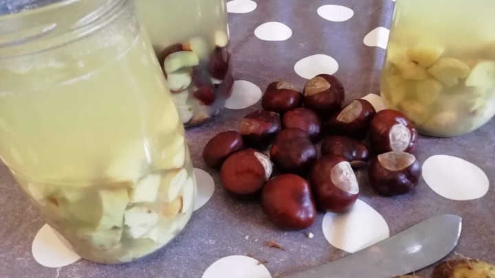 Svaka ušteda je važna: Napravite svoj prirodni deterdžent za rublje od divljih kestena