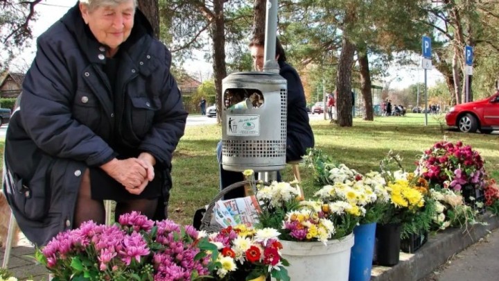 Pitali smo vas koliko ćete ove godine potrošiti na cvijeće i svijeće na grobljima, a imamo i odgovore