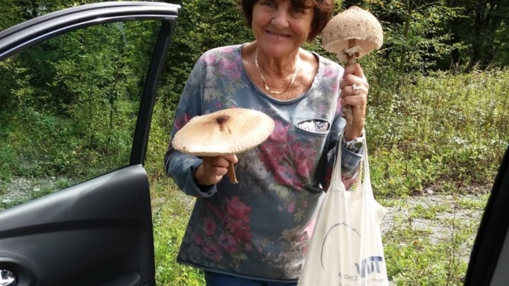 Branka (70) bere gljive više od pola života, a otkrila nam je kako prepoznati one jestive i gdje ih brati