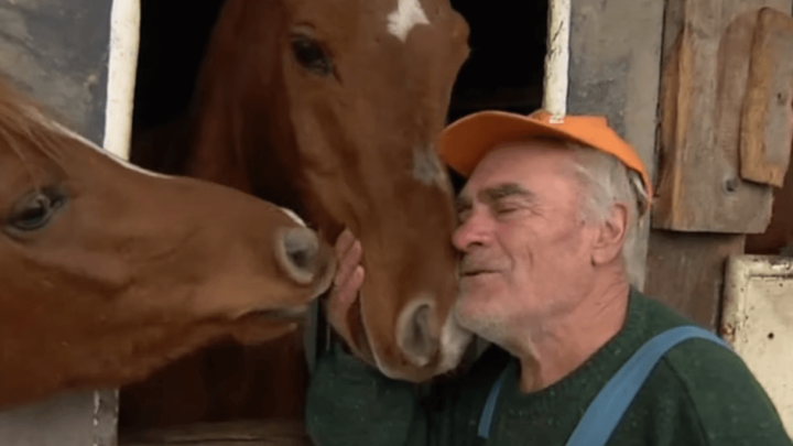 Umirovljenik iz Slavonije s konjima plače, ali ovoga puta su suze radosnice