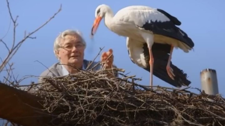 Uginula roda Malena, umirovljenik koji se brinuo o njoj: "Jako mi je teško"