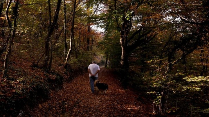 Umirovljenik (78) sam išao na Sljeme pa dobio napadaj: Od pada u provaliju spasili su ga dobri ljudi