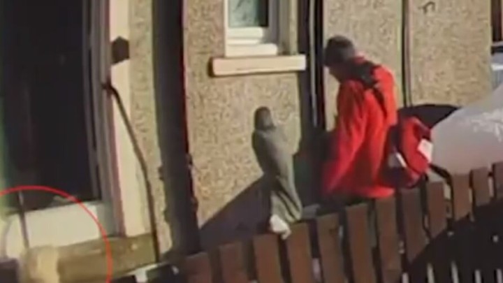 [VIDEO] Umirovljenica pala u dvorištu, poštar joj odbio pomoći: "Preumoran sam i hladno je"