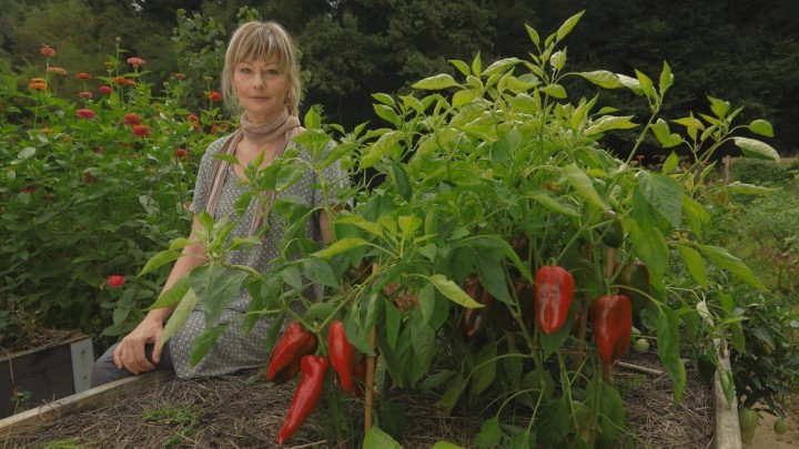 [INTERVJU] Vrtlarica: "Današnji uzgoj više nema veze s vrtlarstvom naših baka"