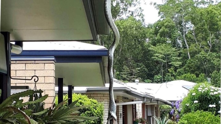 Stanovnike sela za umirovljenike dočekao zastrašujući prizor