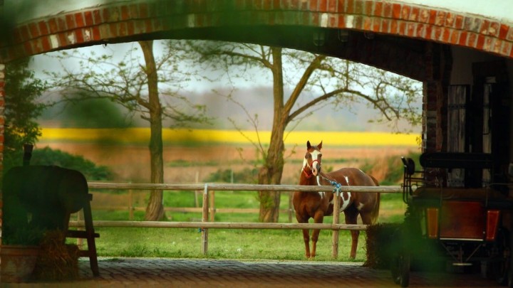 Top 5 ideja za opuštajući vikend odmor