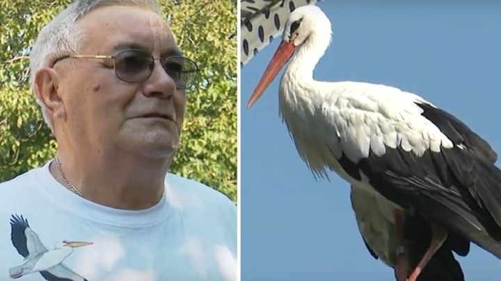 Malena tuguje za Klepetanom: Rode koje su dokazale da postoji bezvremenska ljubav