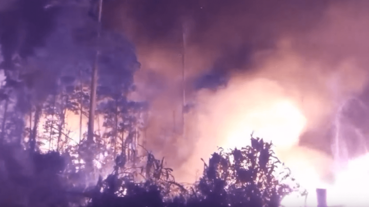 Požari u Amazoni su toliko veliki da se mogu vidjeti iz svemira