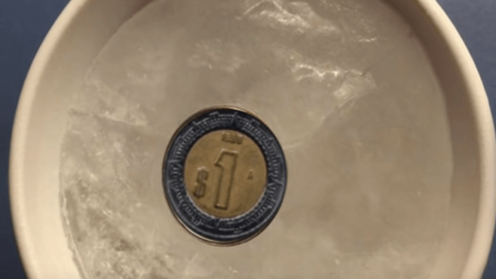 Evo zašto biste trebali ostaviti kovanicu u zamrzivaču prije nego što idete na put