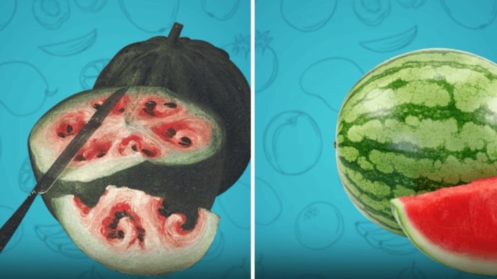 Pogledajte kako su neke namirnice izgledali prije nego što su ih ljudi pripitomili