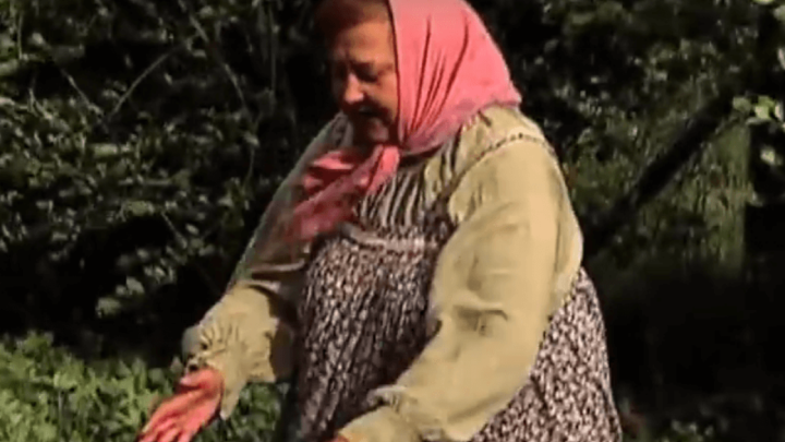 Predstavljamo vam humorističnu Babu Peruniku: "Popij taj Paracetamol da se ne baci!"