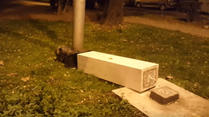 Umirovljenik vandal: U Splitu srušio spomenik Radi Končaru, kip mu pao na nogu i slomio potkoljenicu