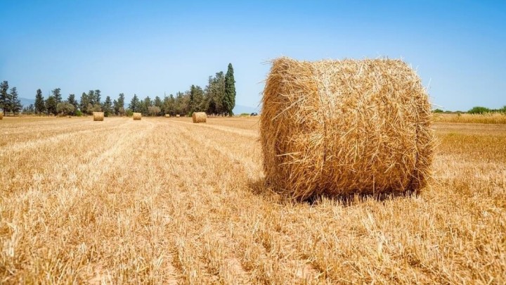 Hrvatska isplaćuje oko 90.000 obrtničkih i poljoprivrednih mirovina koje su i tisuću kuna niže