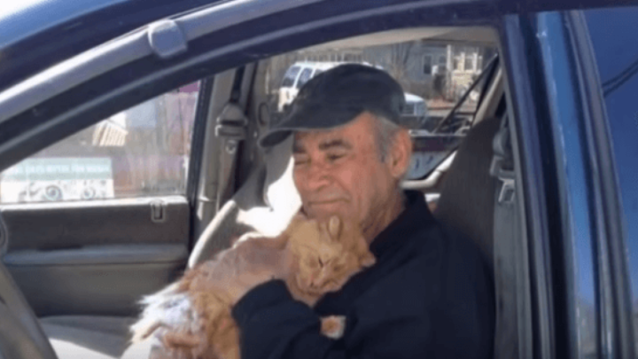 Već 12 godina bez slobodnog dana, umirovljeni ratni veteran brine o 68 mačaka lutalica