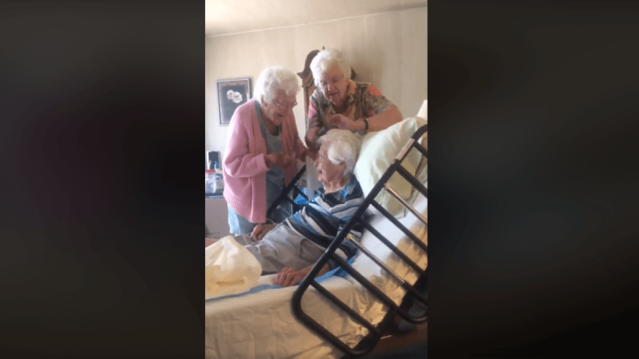 [Video] Kućna njega koja je raznježila internet - dok je obitelji, i zabave je!