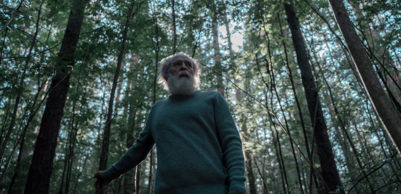 Umirovljenik iz crkvene šume odnio pet hrastova: Osuđen na šest mjeseci zatvora