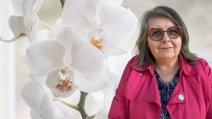 Kada i kako presaditi orhideju: Postupak je otkrila profesorica Židovec