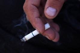 Bacio opušak pa izazvao veliki požar: Vatra se proširila na imanje umirovljenice