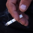 Bacio opušak pa izazvao veliki požar: Vatra se proširila na imanje umirovljenice