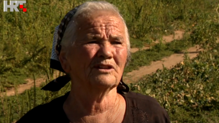 Umirovljenica Tereza (83) još uvijek sudjeluje u berbi: 'Stari ne mogu, a mladi neće'