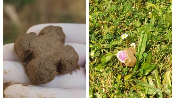 Ministarstvo poljoprivrede upozorava: Nemojte dirati ove 'kolačiće'