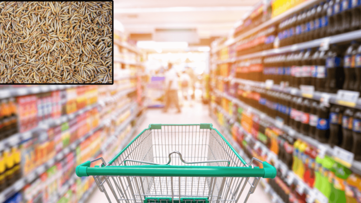 Europska komisija odobrila novu hranu: Na police trgovina od danas stižu - crvi